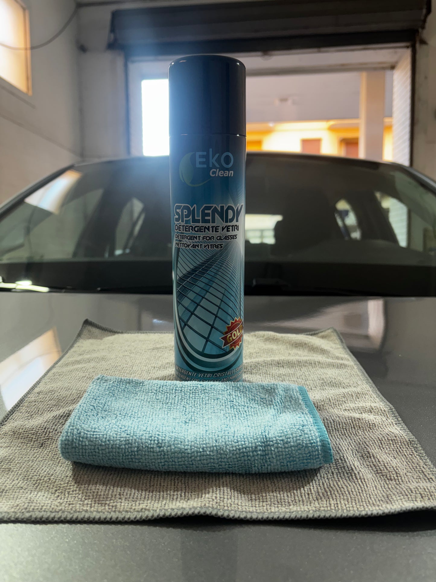 Detergente Vetri Professionale + Panno Anti-Alone