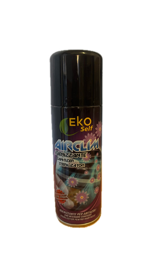 Igienizzante Abitacolo Professionale