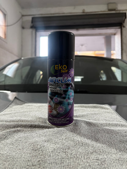 Igienizzante Abitacolo Professionale