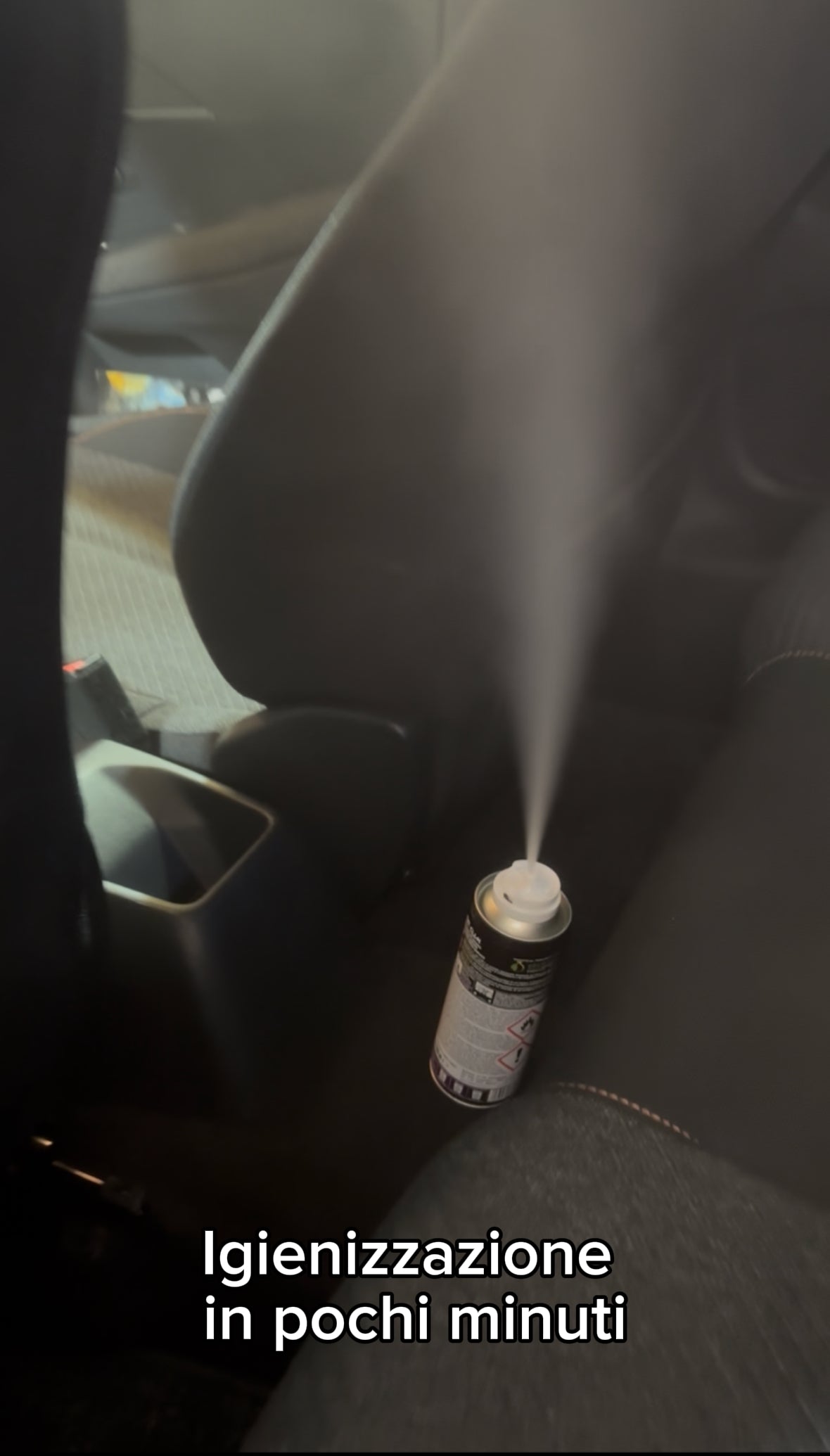 Igienizzante Abitacolo Professionale